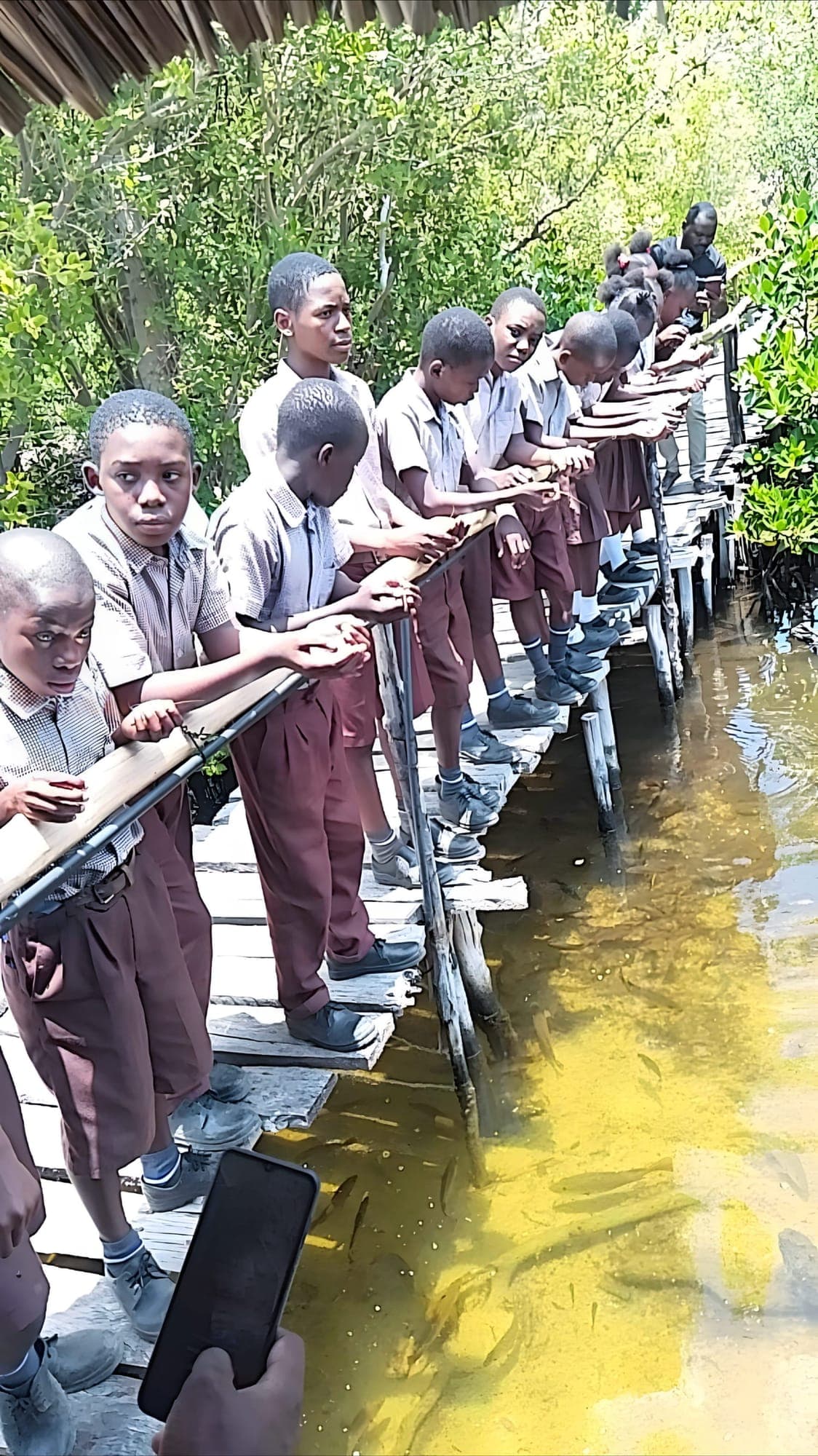 Researchers and students conducting marine biology and mangrove studies at Prawns Lake Watamu