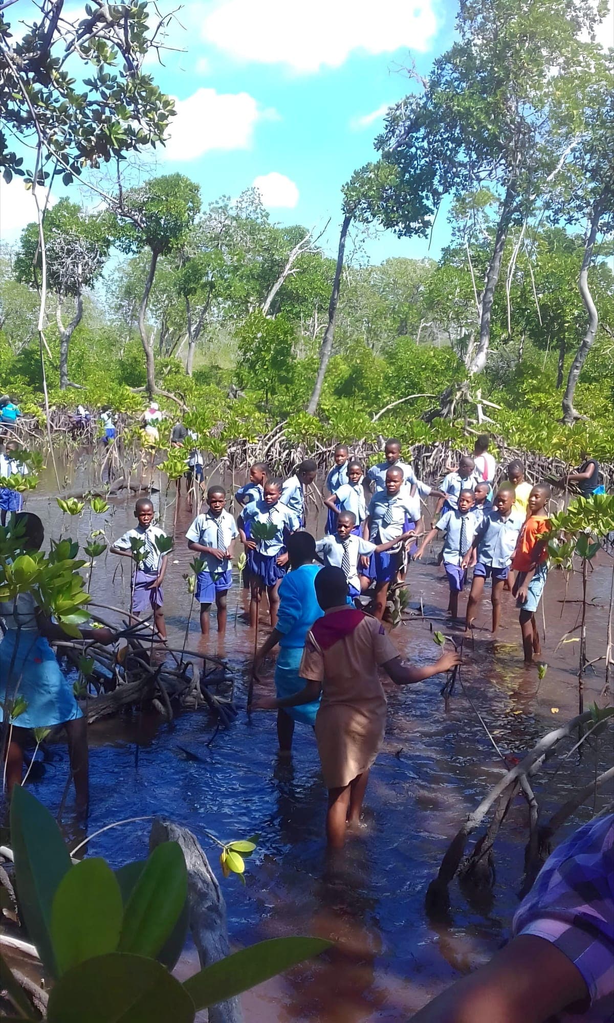 Researchers and students conducting marine biology and mangrove studies at Prawns Lake Watamu