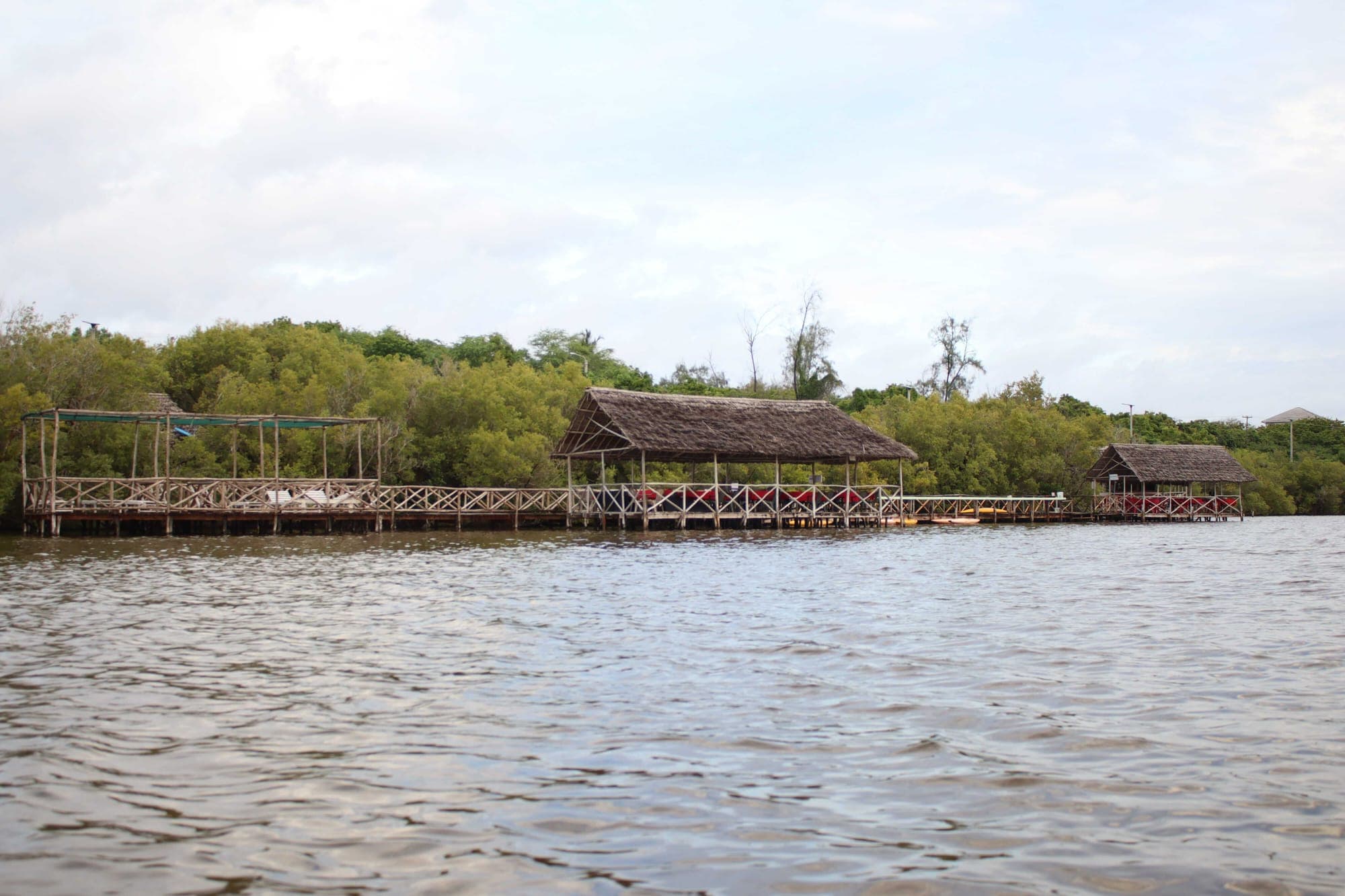 Aerial view of restored mangroves at Prawns Lake in Mida Creek, Watamu