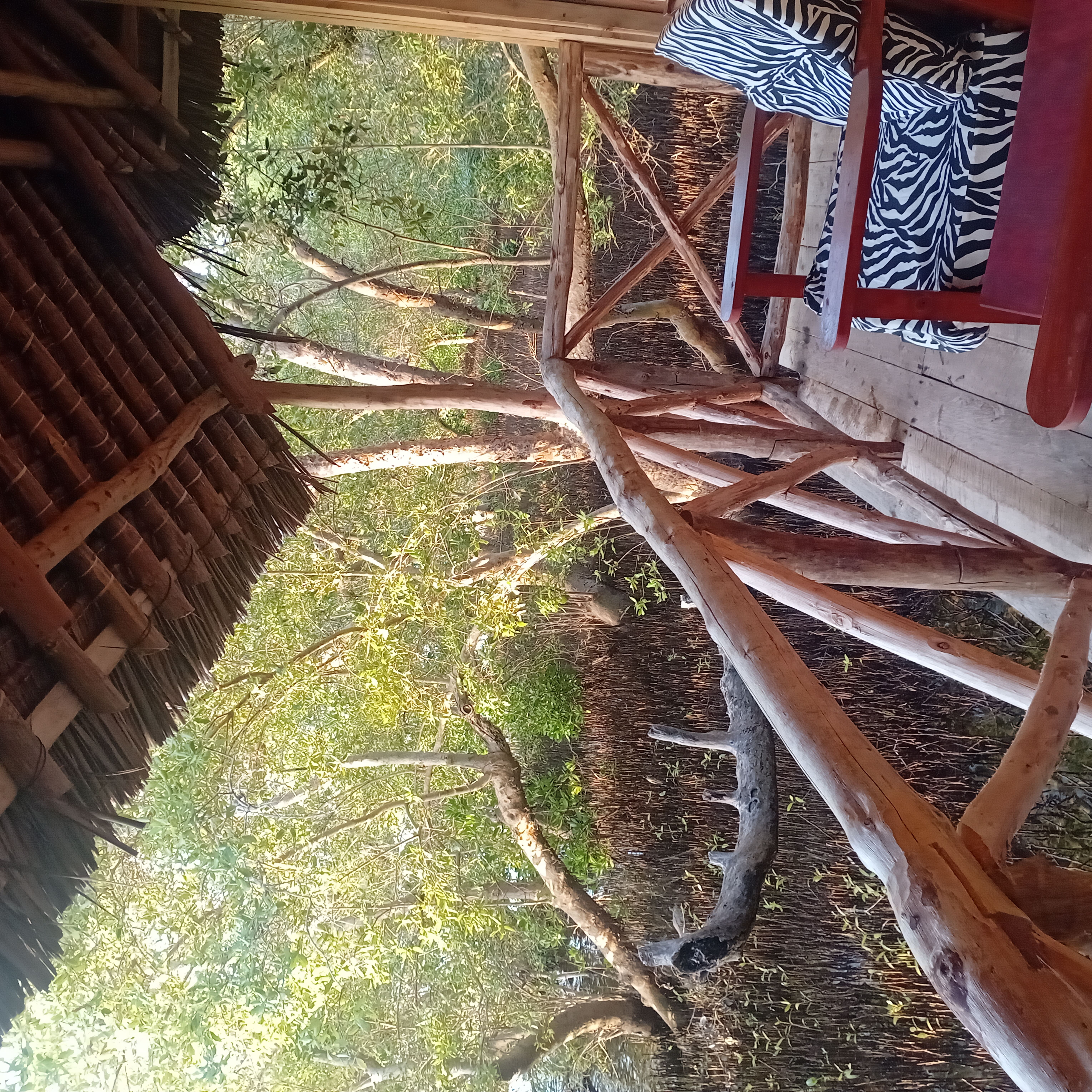 Guest enjoying morning view from lodge balcony