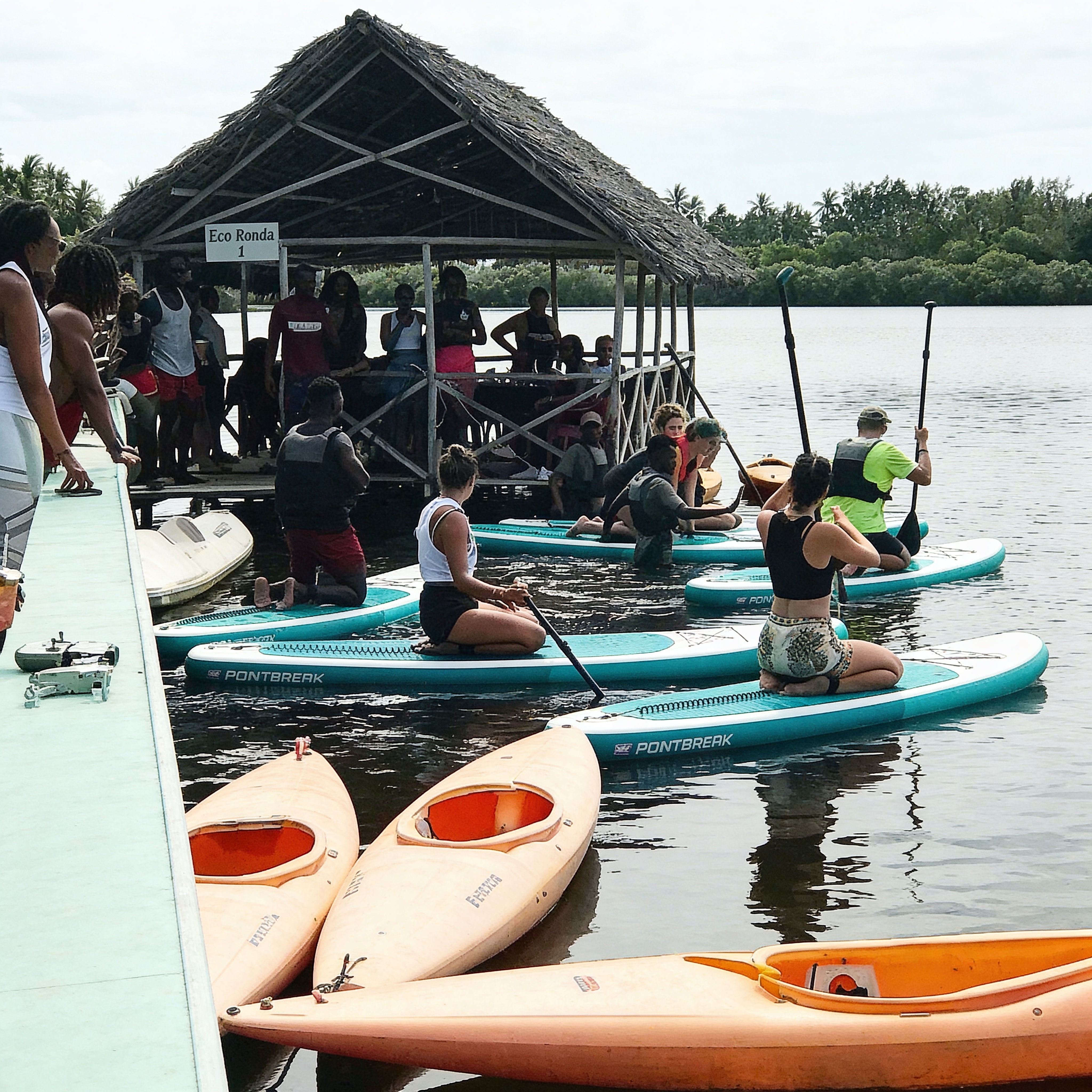 Mangrove Kayaking